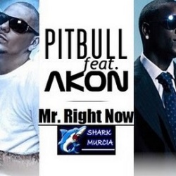Обложка трека 'PITBULL ft. AKON - Mr. Right Now'