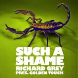 Обложка трека 'Richard GREY - Such A Shame'