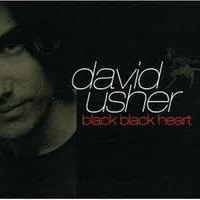Обложка трека 'David USHER - Black Black Heart'