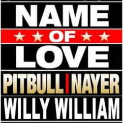 Обложка трека 'Jean ROCH & NAYER ft. PITBULL - Name Of Love (Willy William rmx'