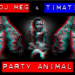 Обложка трека 'DJ M.E.G. ft. TIMATI - Party Animal'