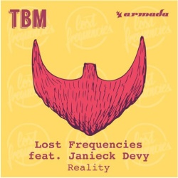 Обложка трека 'Lost Frequencies & Janieck DEVY - Reality'