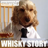 Обложка трека 'EXAMPLE - Whisky Story'
