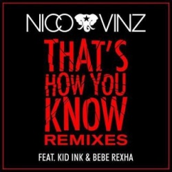 Обложка трека 'NICO & VINZ & KID INK - Thats How You Know (Wideboys rmx)'