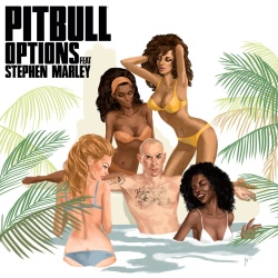 Обложка трека 'PITBULL - Options'