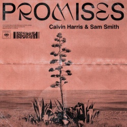 Обложка трека 'Calvin HARRIS & Sam SMITH - Promises'