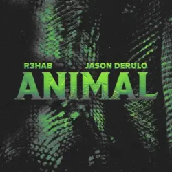 Обложка трека 'R3HAB & Jason DERULO - Animal'
